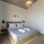 Skalia Lefkada Villa *